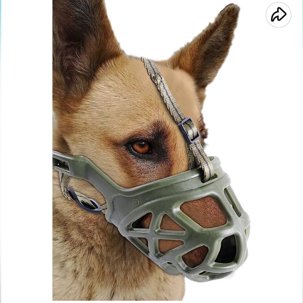 Dog muzzle